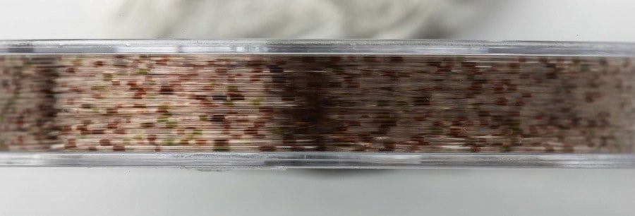 Prologıc Hooklink Mono Mirage XP 40m