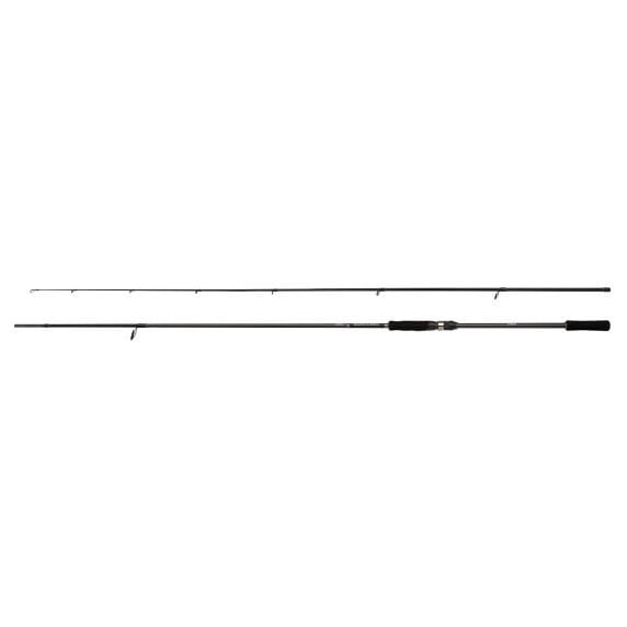 Shimano Kamış Bassterra A Seabass Spinning 2,74m 9'0