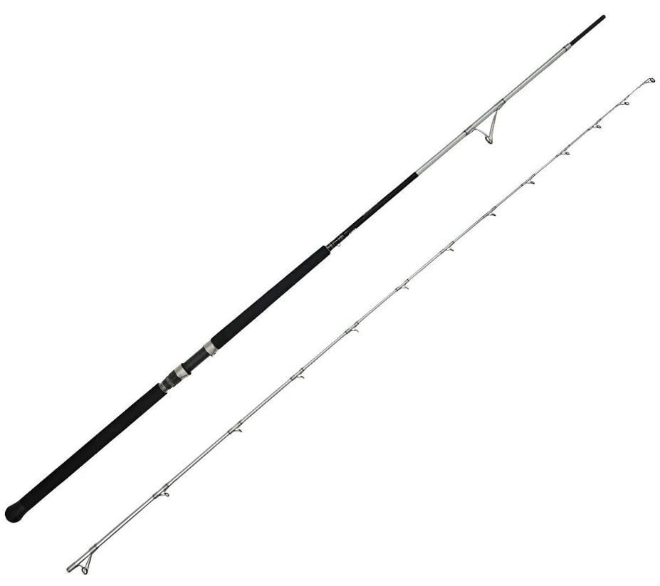 Yek Outdoor Profesyonel Jig Olta Seti Okuma Azores Shore Jigging Spin 304cm 40-100gr 2 Parça Olta Kamışı&Savage Gear SGS8 4000 FD Olta Makinesi