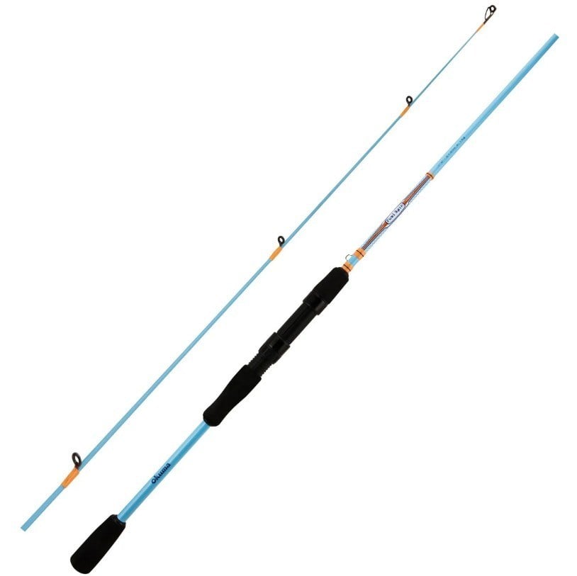 YekOutdoor Profesyonel Spin Olta Seti Okuma Fuel Spin 2,74 cm 7-30 gr 2 Parça Spin Kamışı&Okuma Azores ZXP-4000 6+1 bb Olta Makinesi