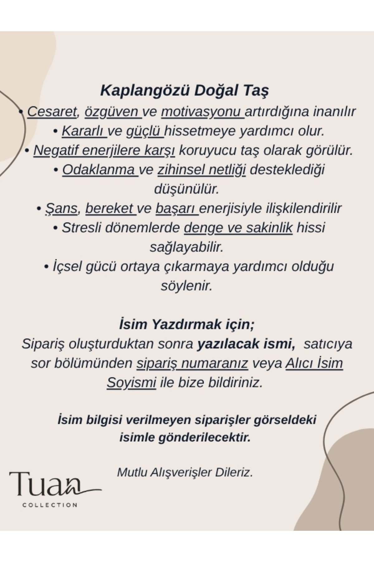 Özel Tasarım Kaplan Gözü Doğal Taş Çelik İsim Kolye Odaklanma, Kararlılık, Cesaret