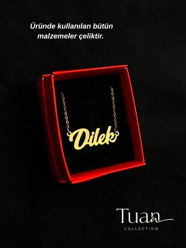Tuan Collection Komple Yüksek Kalite Çelik Kişiye Özel İsim Kolye Özel Tasarım Gümüş Renk Kişiselleştirilebilir Hediye