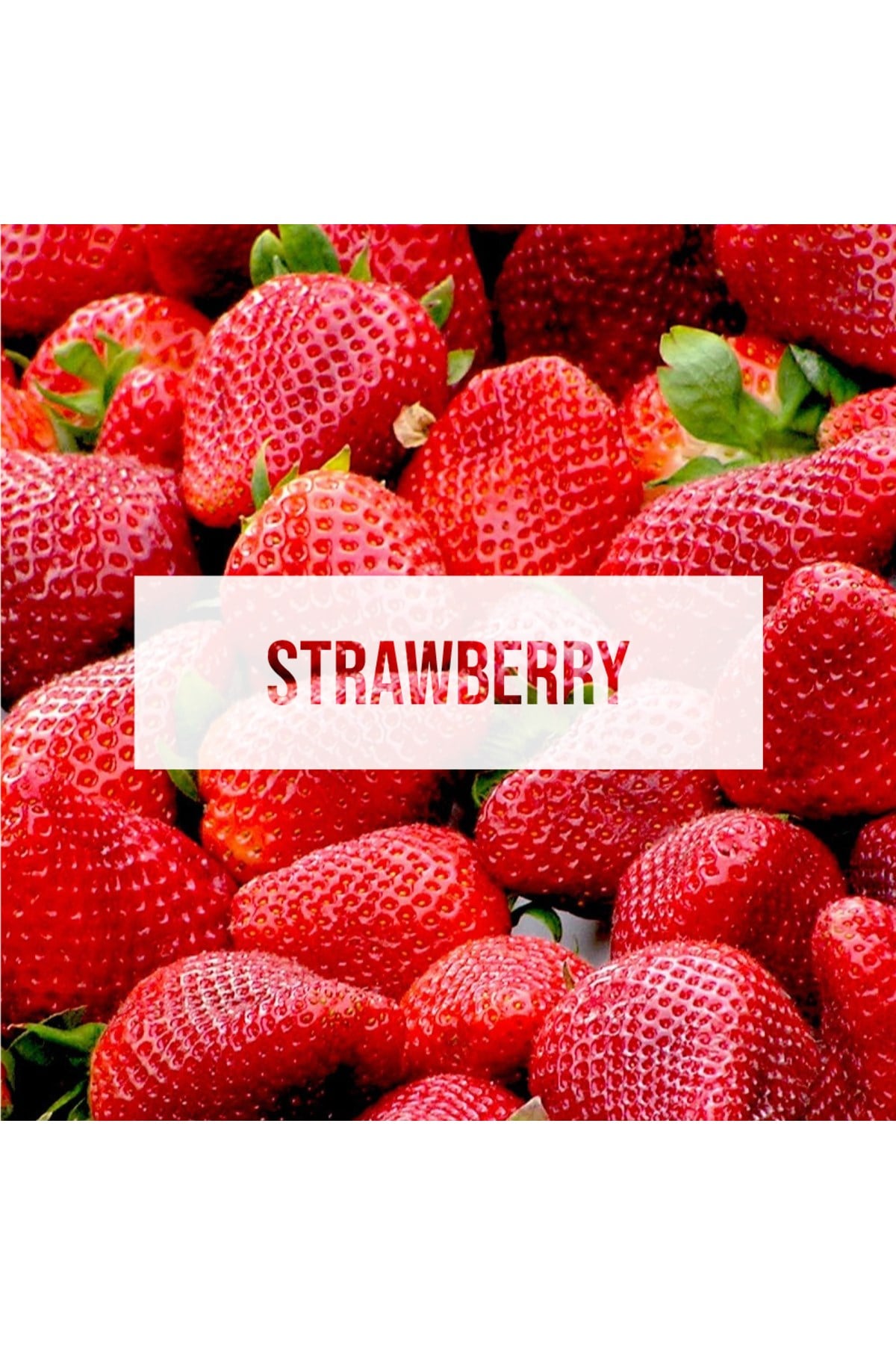 Fresheners Original X Card Strawberry Oto Asma Koku (Made In Usa)