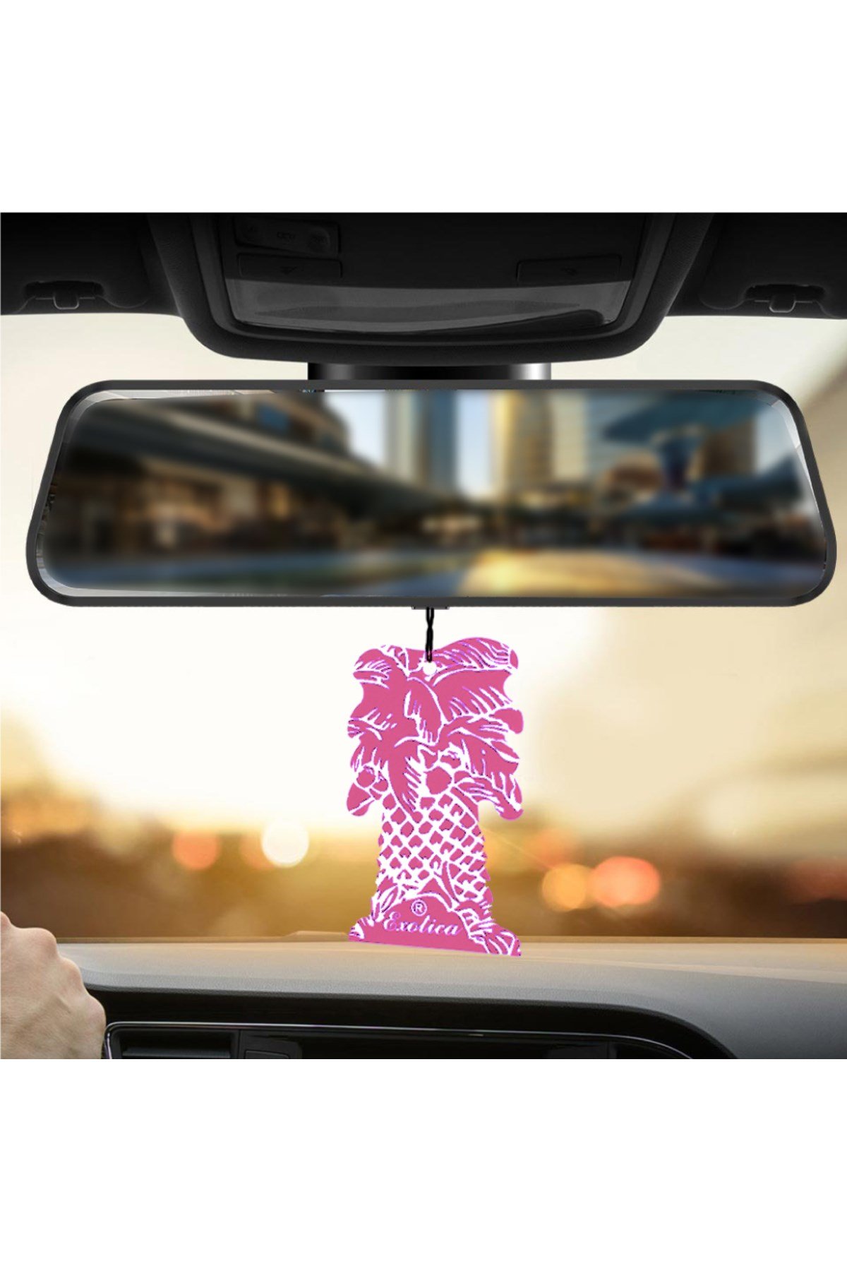 Fresheners Palm Tree Bubble Gum Oto Asma Koku (Made In Usa)