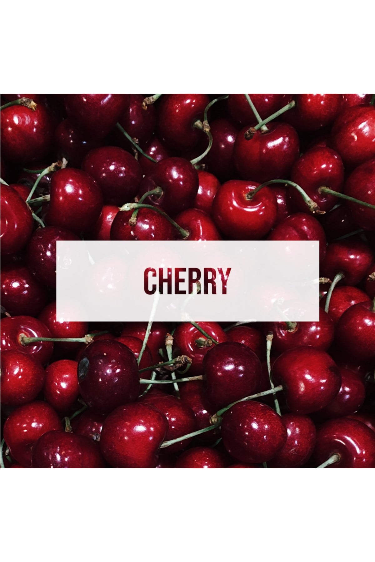 Fresheners Palm Tree Cherry Oto Asma Koku (Made In Usa)