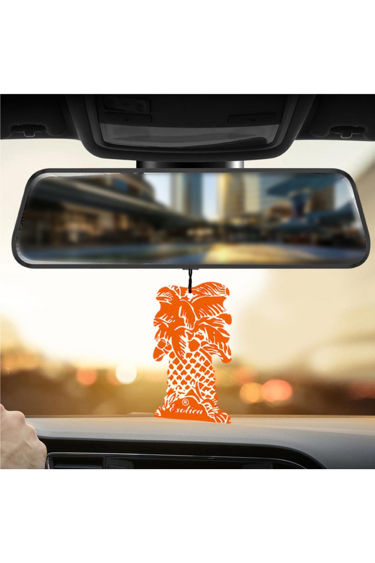 Fresheners Palm Tree Coconut Oto Asma Koku (Made In Usa)
