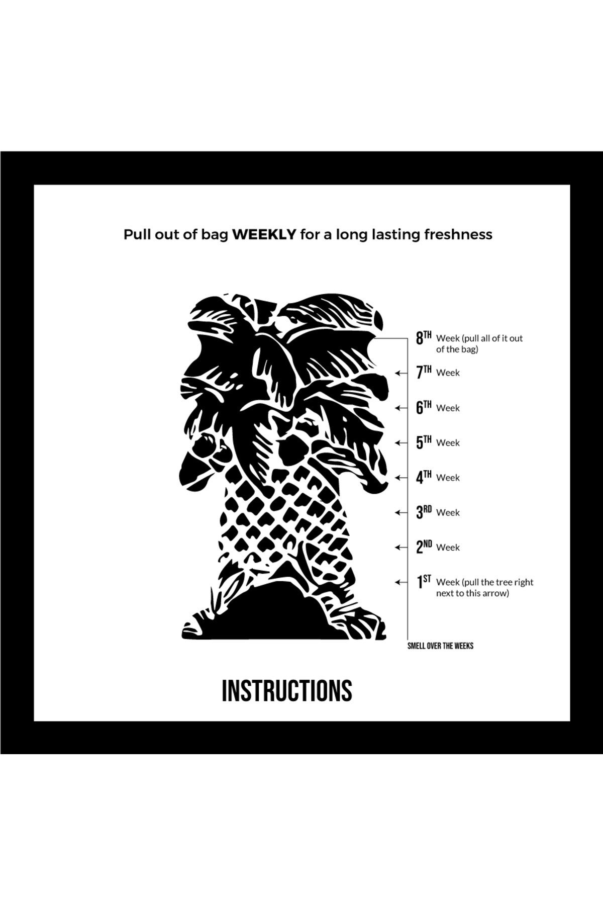 Fresheners Palm Tree Ice Oto Asma Koku (Made In Usa)