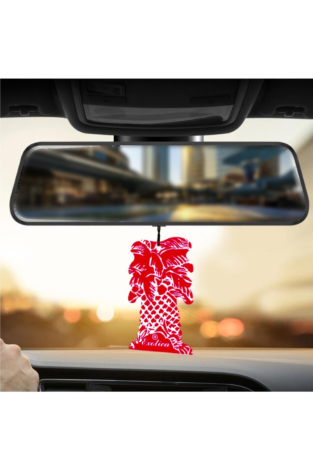 Fresheners Palm Tree Love Ice Oto Asma Koku (Made In Usa)