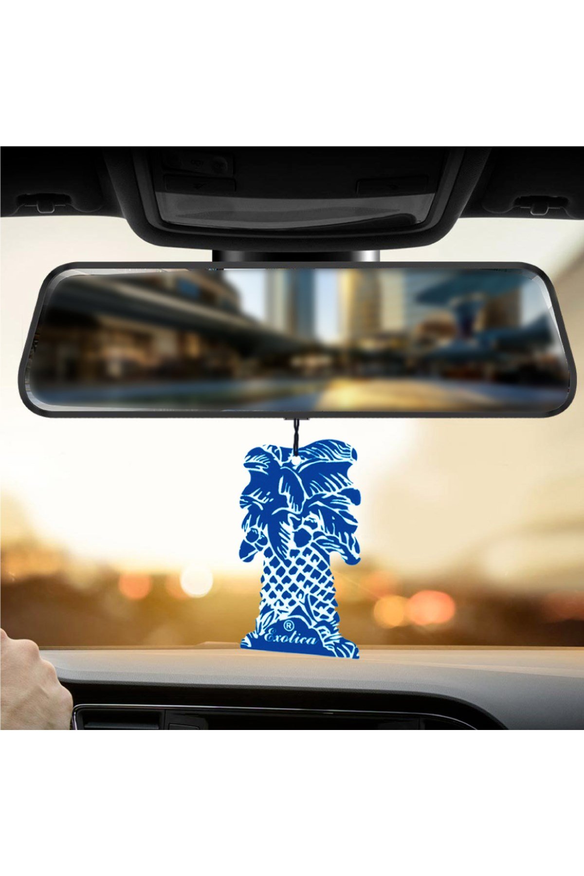 Fresheners Palm Tree New Car Oto Asma Koku (Made In Usa)