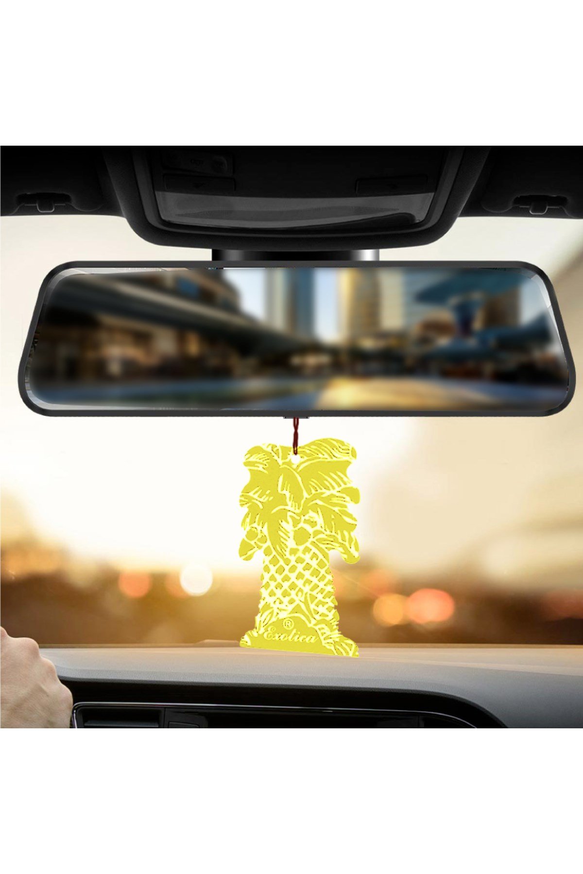 Fresheners Palm Tree Vanilla Oto Asma Koku (Made In Usa)