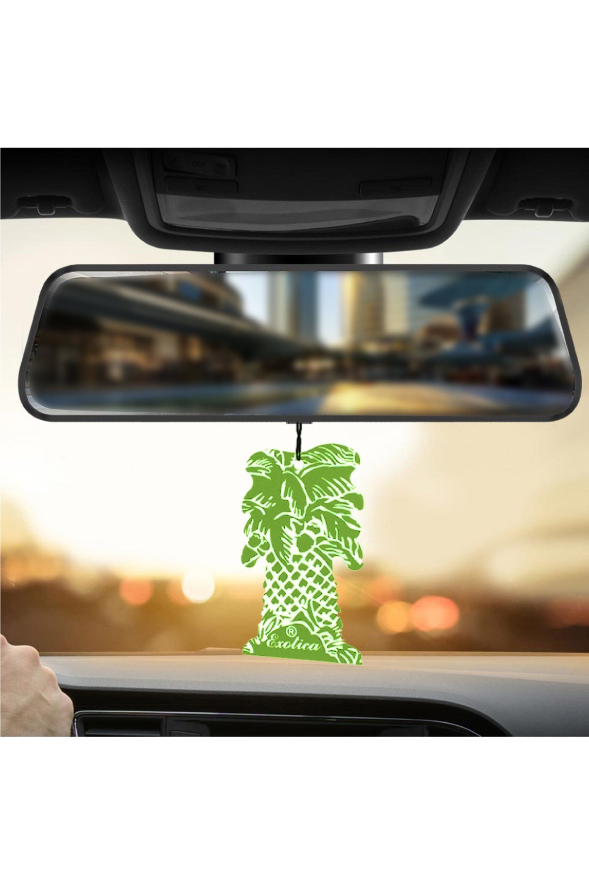 Fresheners Palm Tree Yeşil Elma Oto Asma Koku (Made In Usa)