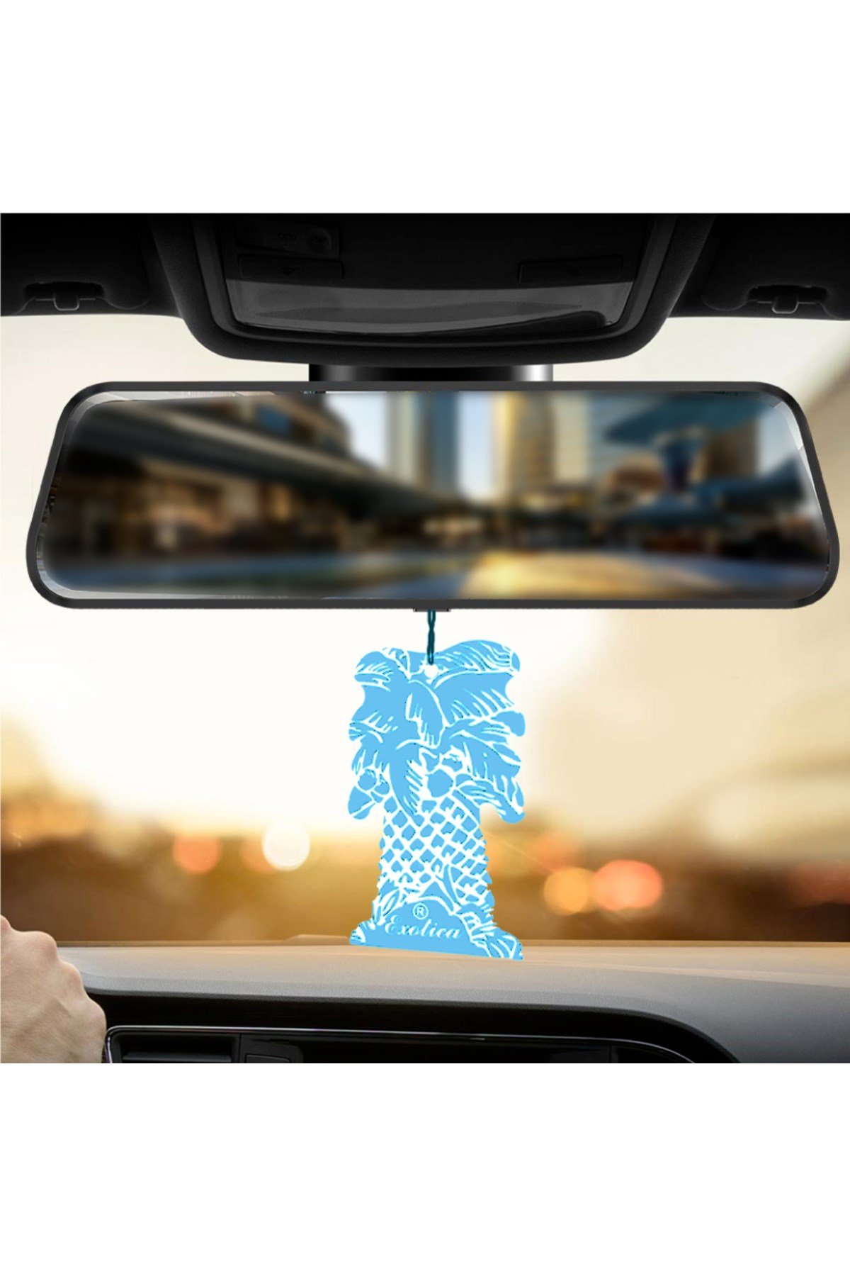 Fresheners Palm Trees Fresh Spring Oto Asma Koku (Made In Usa)