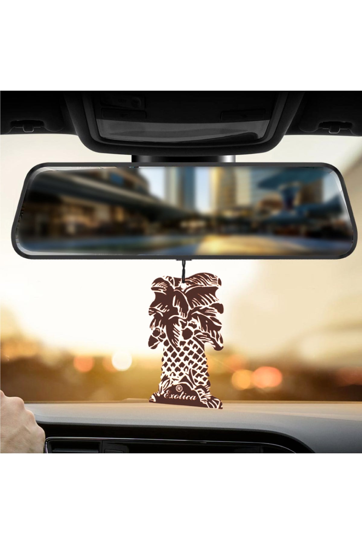 Fresheners Palm Trees 