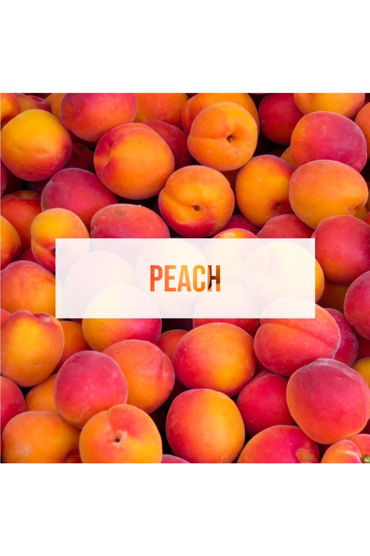 Fresheners Palm Trees Peach Oto Asma Koku (Made In Usa)