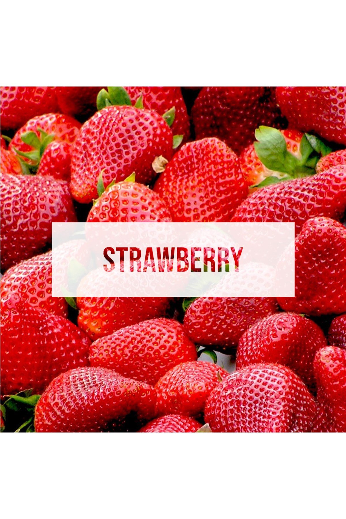 Fresheners Palm Trees Strawberry Oto Asma Koku (Made In Usa)