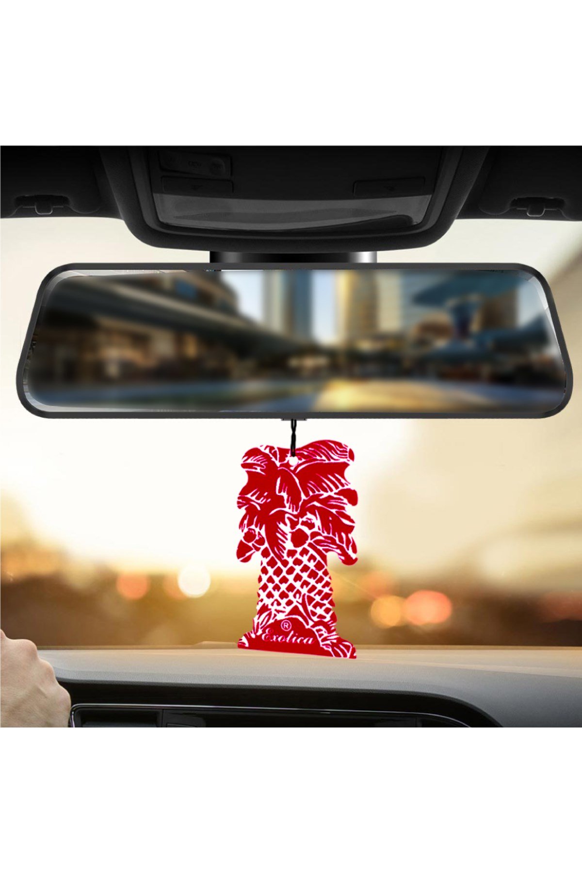 Fresheners Palm Trees Strawberry Oto Asma Koku (Made In Usa)