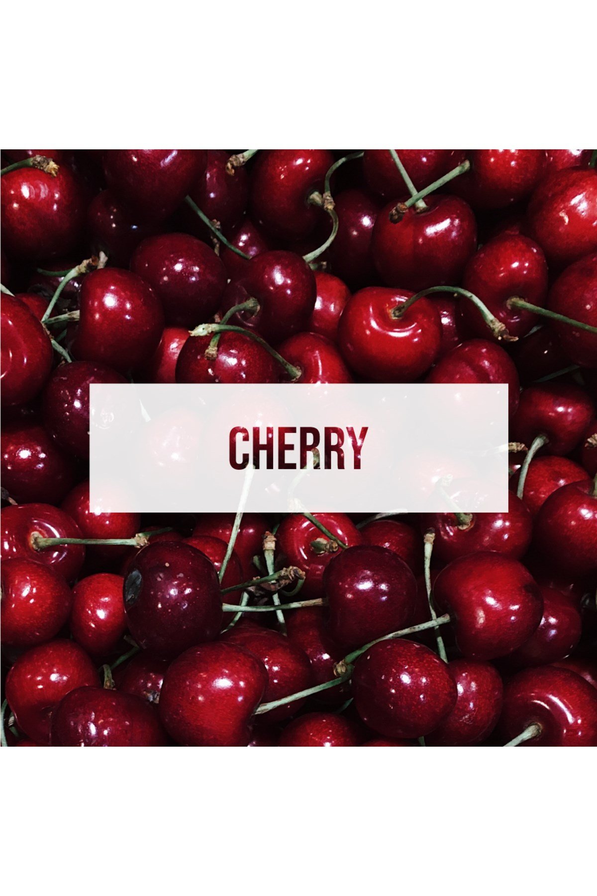 Fresheners Treasure Cherry Professional Ortam ve Oto Koku (Made In Usa)