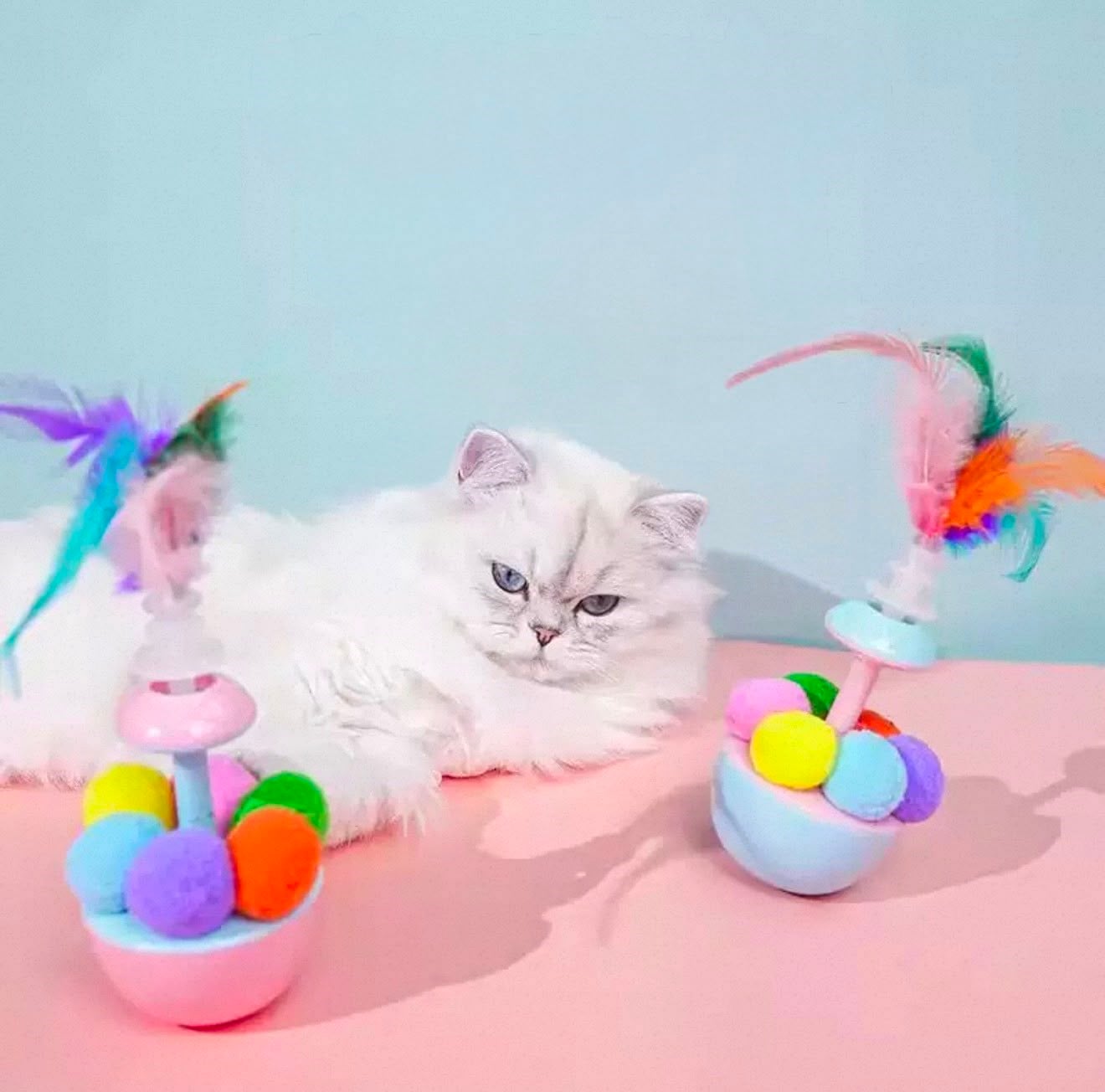 KEDİ TÜYLÜ VE MİSİNALI  HACIYATMAZ 