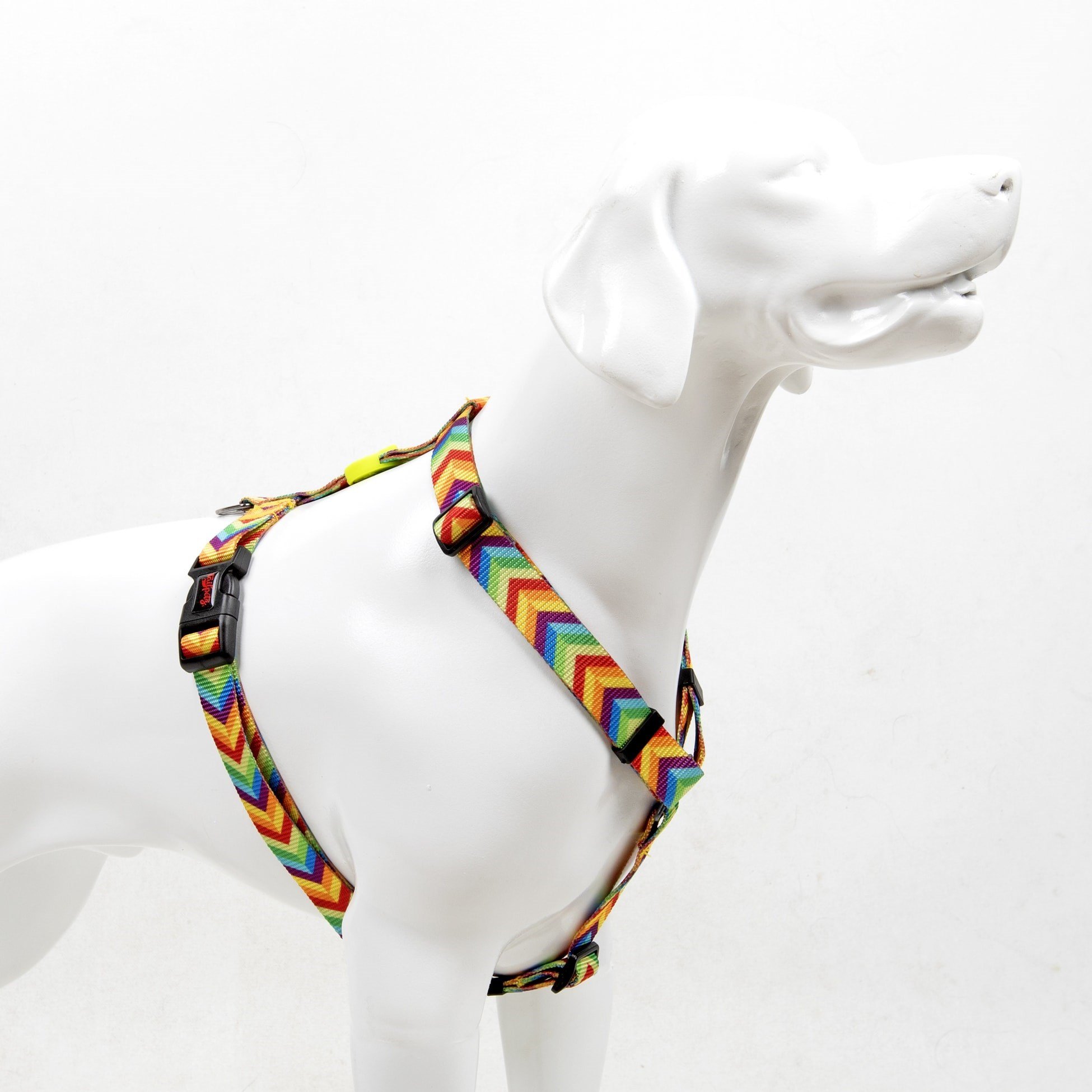 tailpetz-h-tipi-gogus-tasmasi-87241c.jpeg