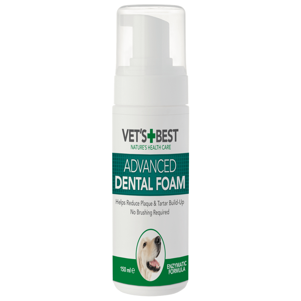 Vet's Best Köpek Ağız Bakım Köpüğü