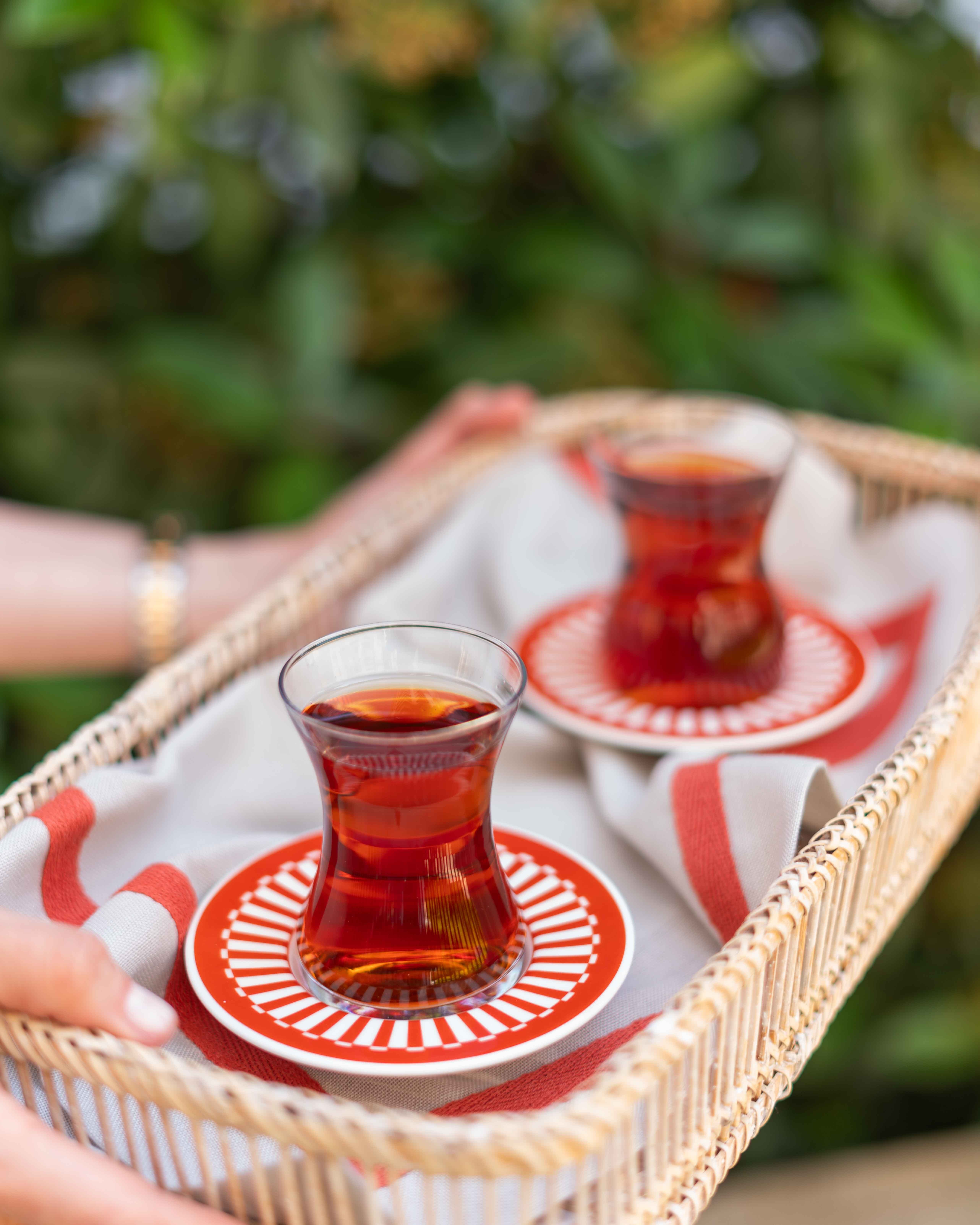 Fern&Co. X Melez The Afternoon Tea Collection Terracotta Cam Çay Bardağı