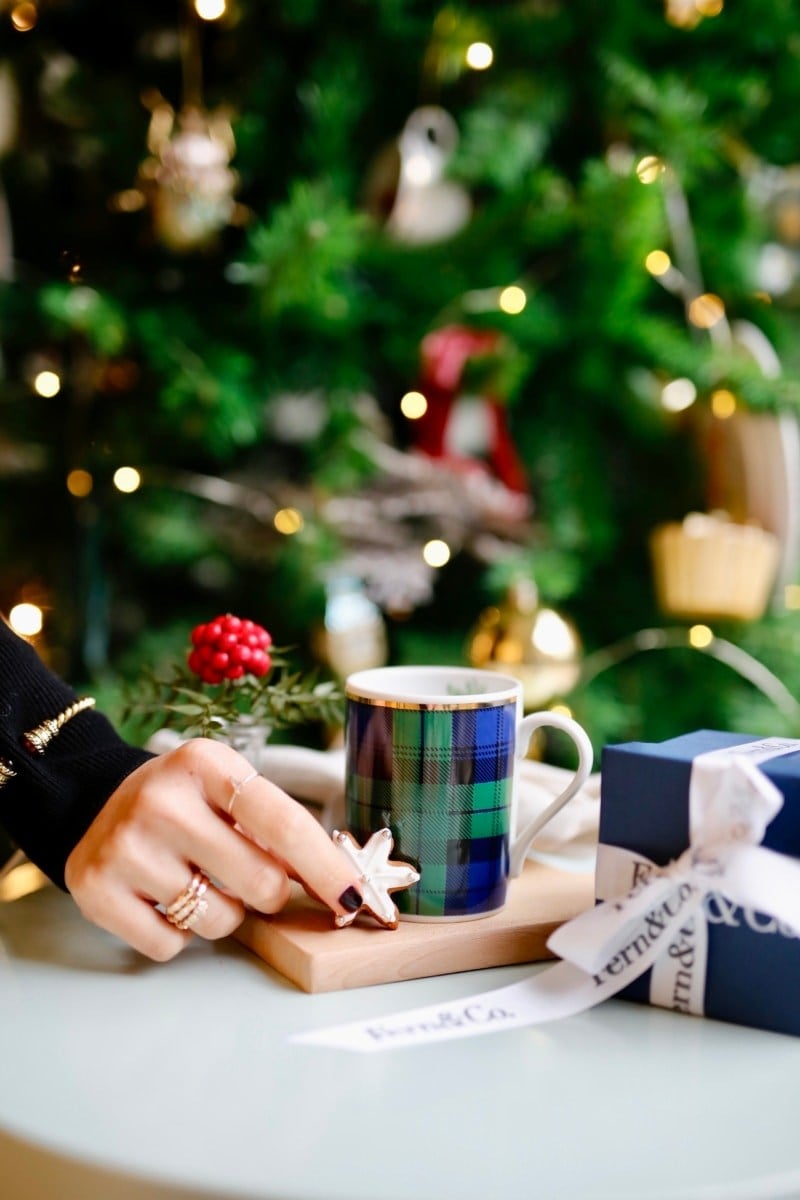Wintertale Collection Kulplu Kupa