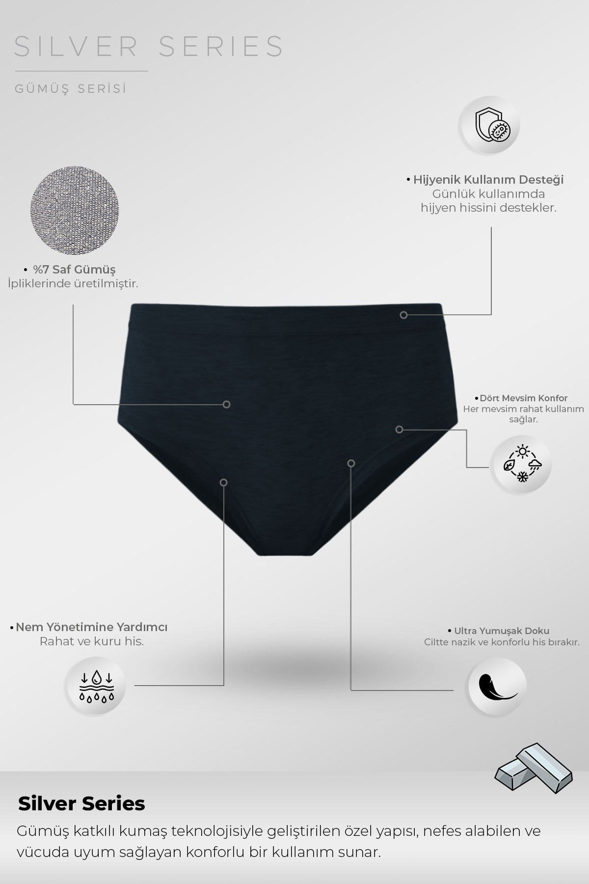 Mısırlı Kadın Gümüş Brief Slip Lacivert