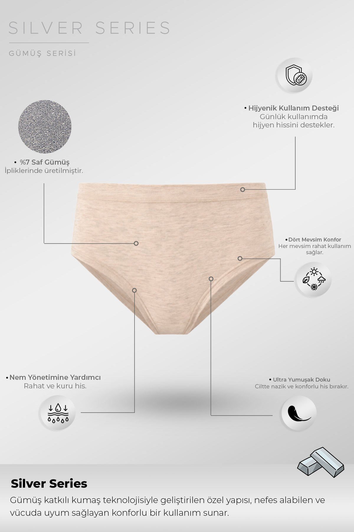 Mısırlı Kadın Gümüş Brief Slip Ten