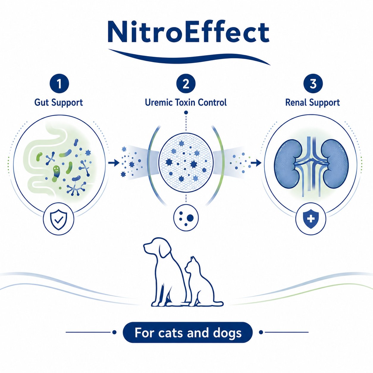 Nitro Effect