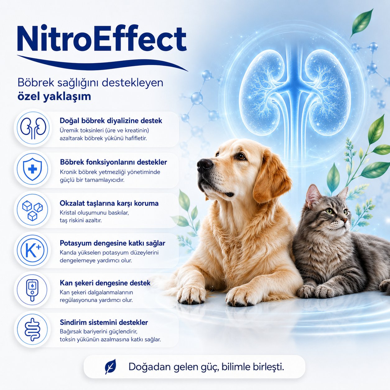 Nitro Effect