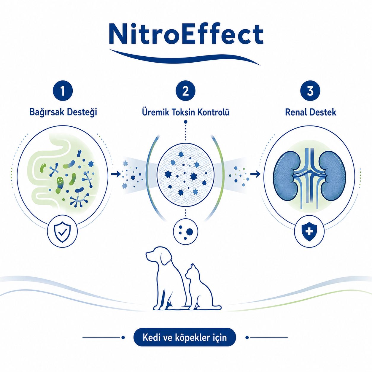 Nitro Effect