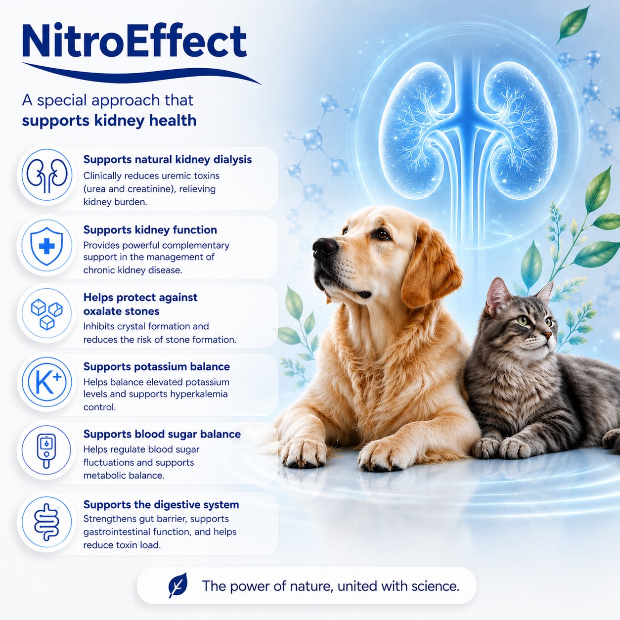 Nitro Effect