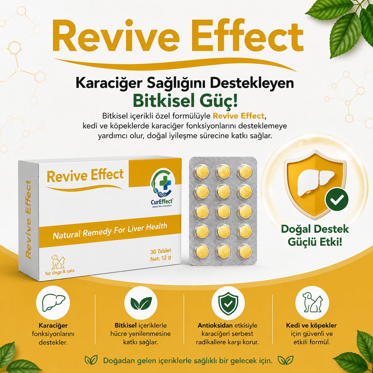 Onkoloji Sağlık Kiti