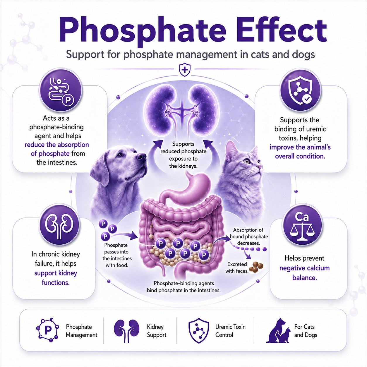 Phosphate Effect