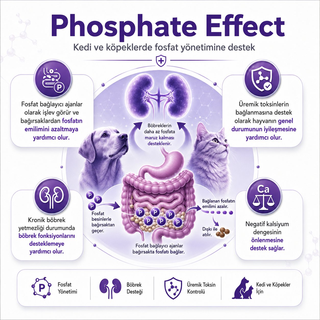 Phosphate Effect