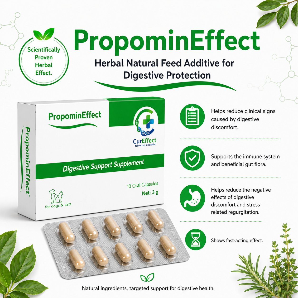 Propomin Effect