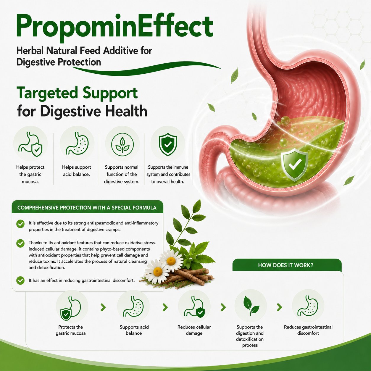 Propomin Effect