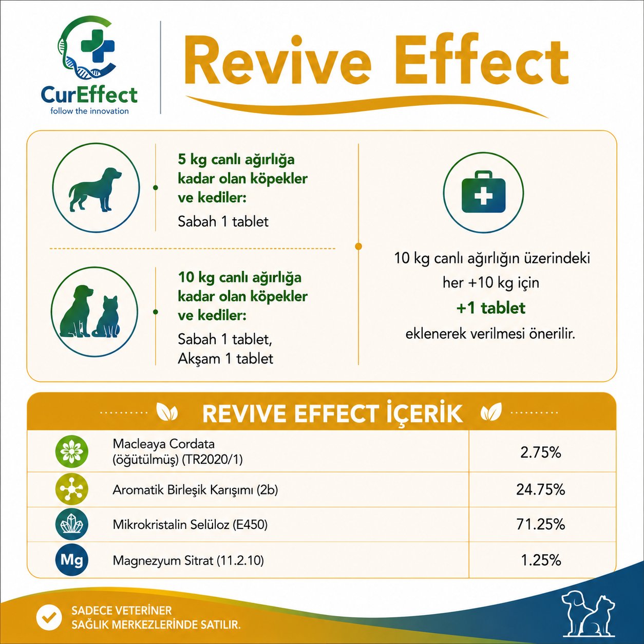 Revive Effect