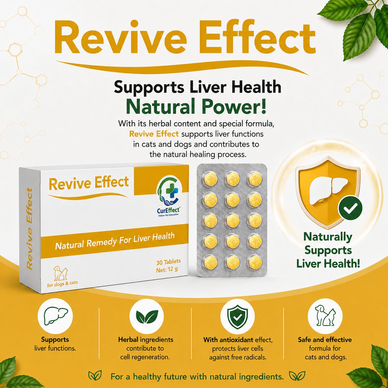 Revive Effect