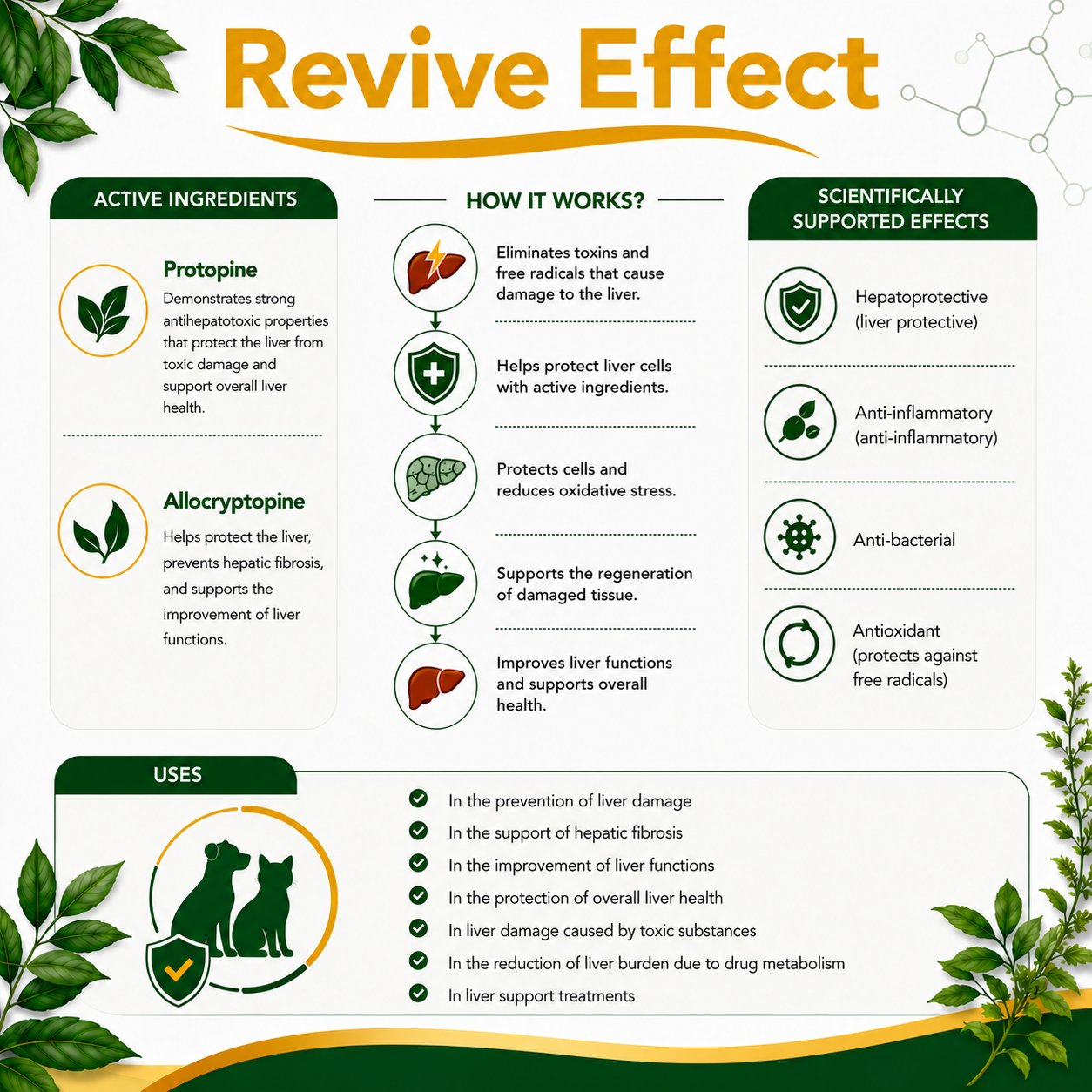 Revive Effect