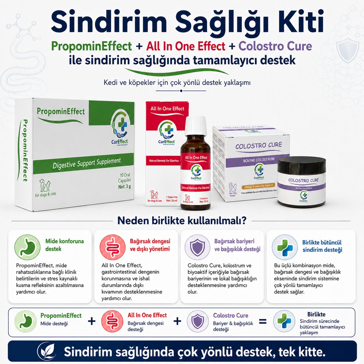 Sindirim Sağlık Kiti