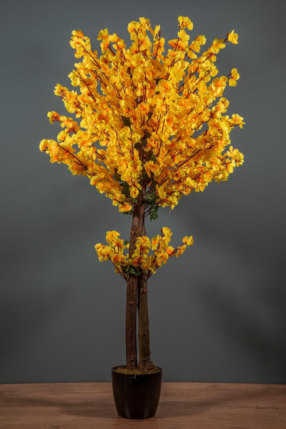 120 Cm Sarı Bahardalı Ağacı