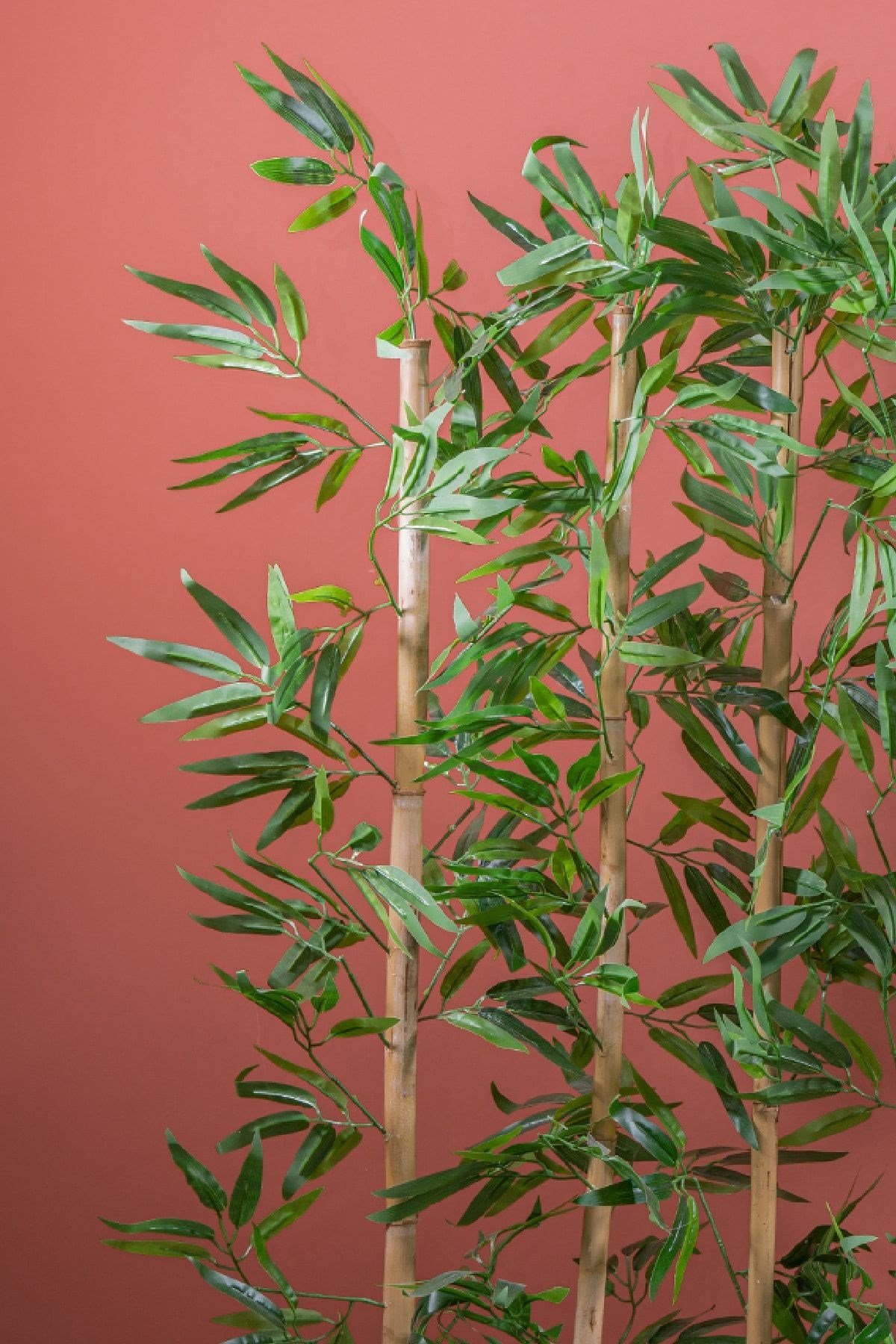 140 Cm Bambu Seperatör