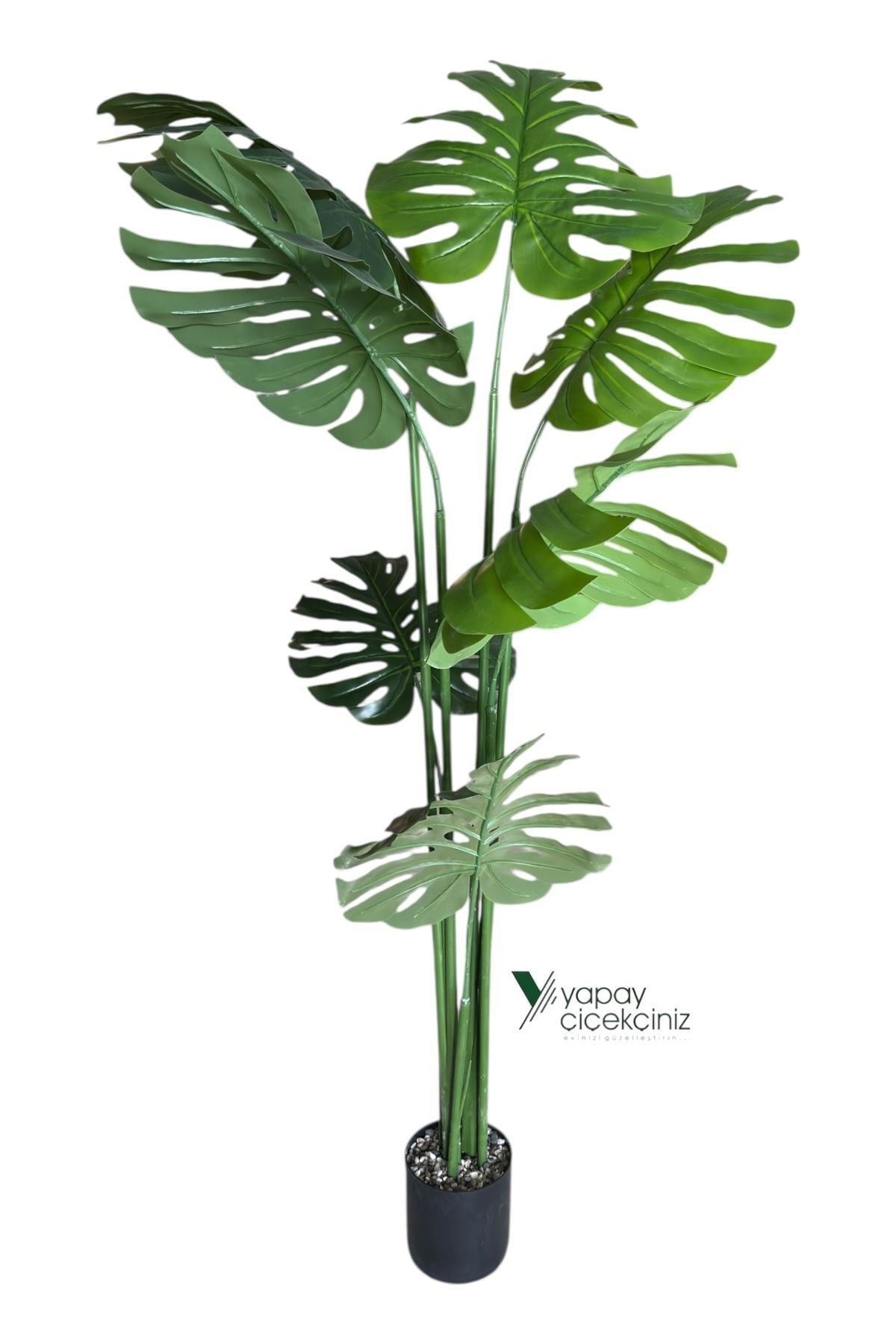 150 cm 7 Dallı Islak Dokulu İri Yapraklı Lüks Yapay Monstera Deve Tabanı Ağacı
