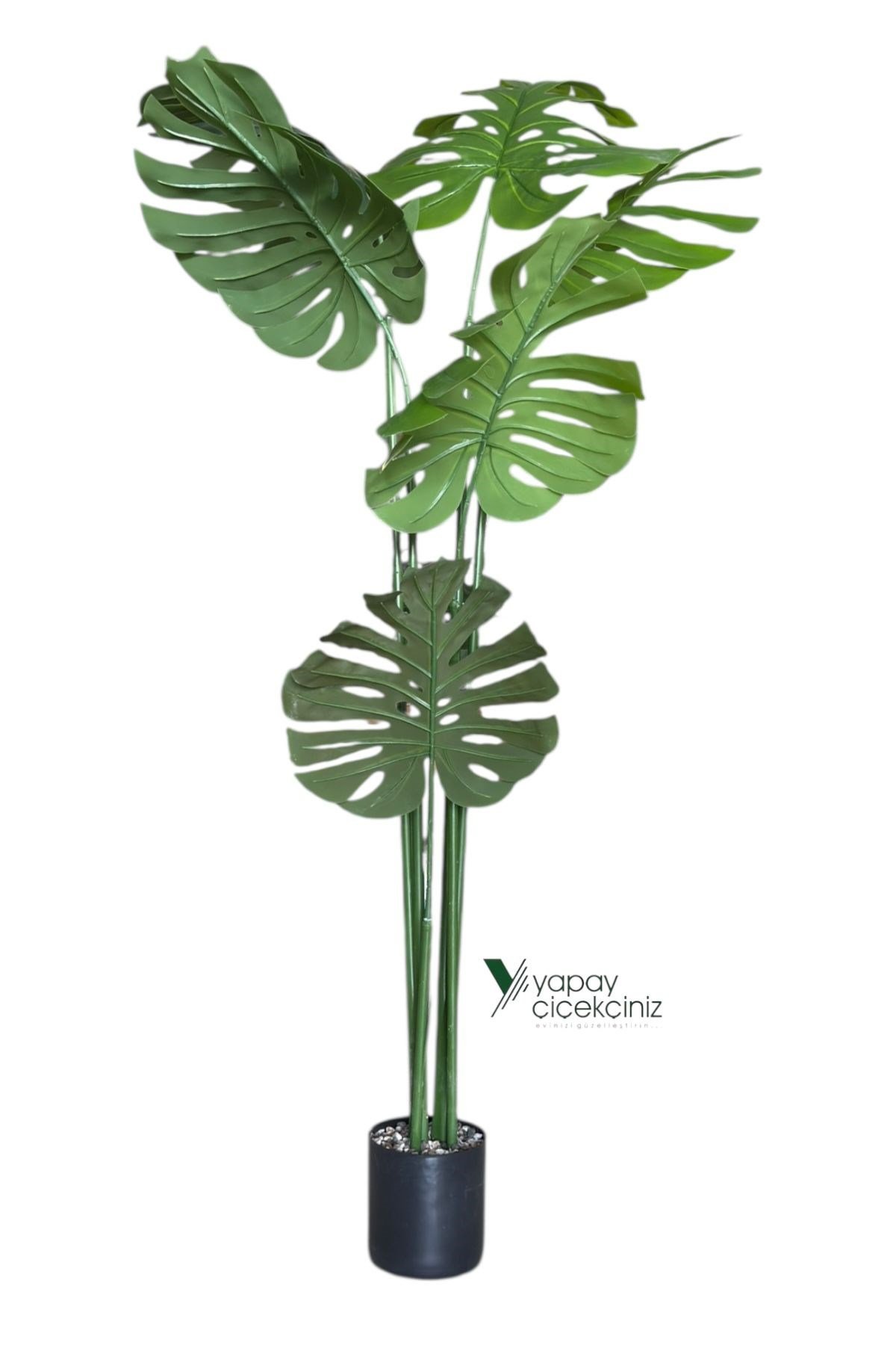 150 cm 7 Dallı Islak Dokulu İri Yapraklı Lüks Yapay Monstera Deve Tabanı Ağacı 