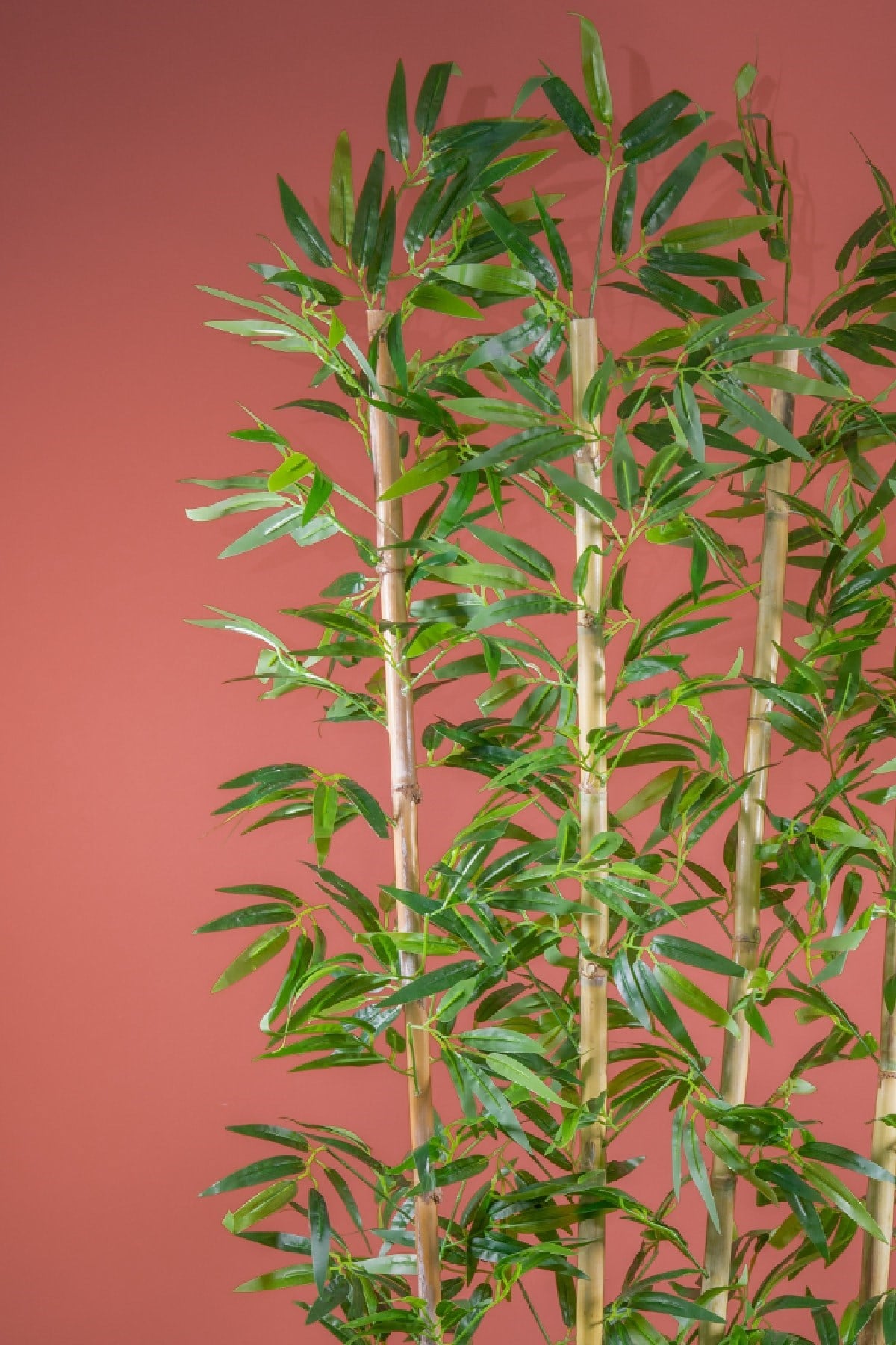 170 Cm Bambu Seperatör