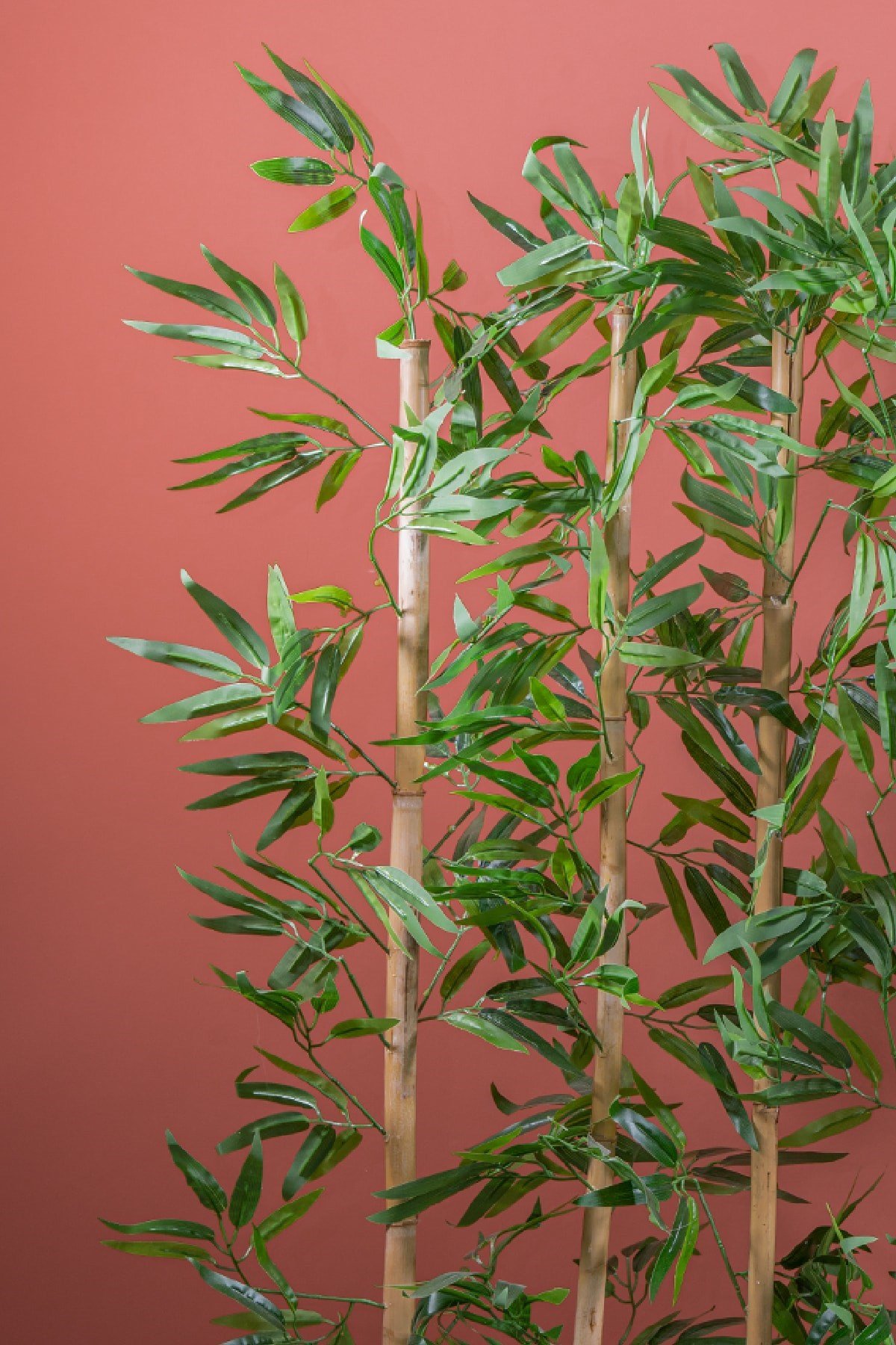 170 Cm Bambu Seperatör