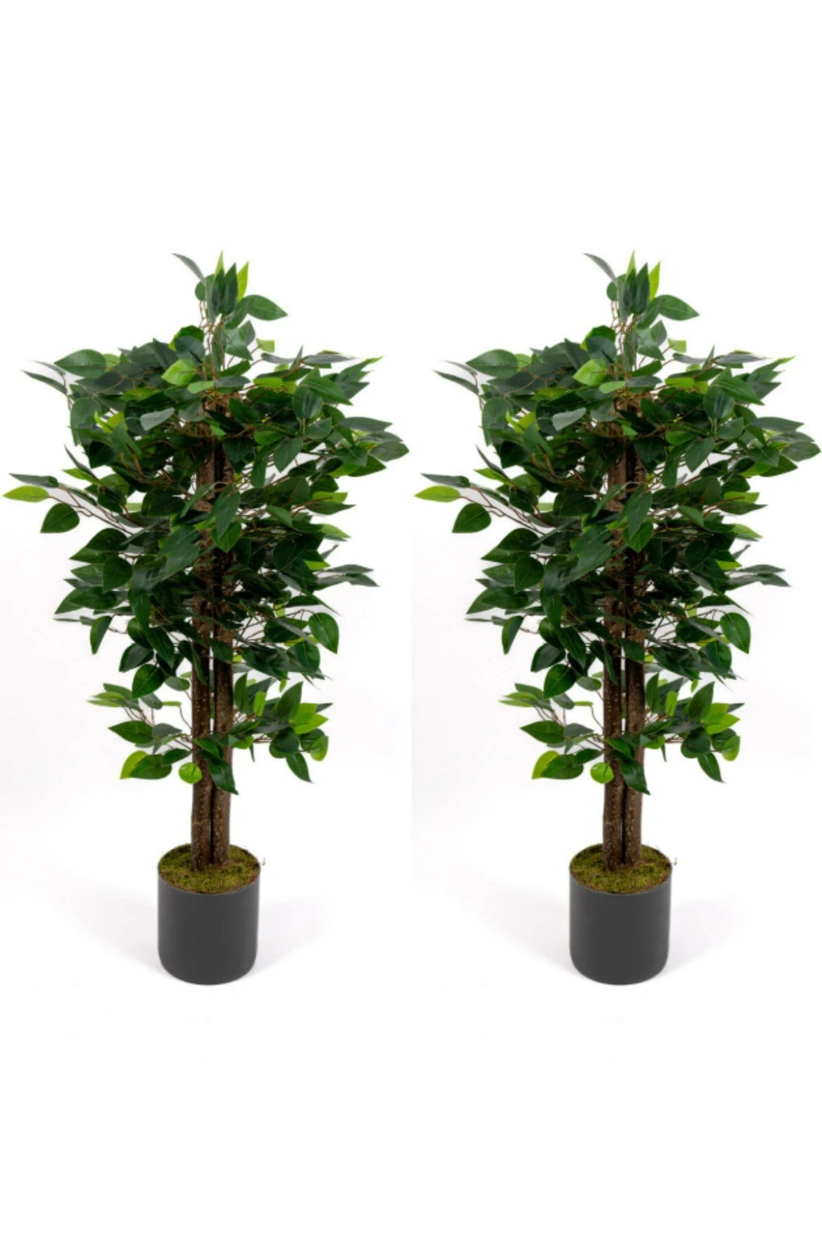 2’li Yapay Benjamin Ağacı Seti – 100 cm Gri Saksılı Dekoratif Salon & Ofis Bitkisi