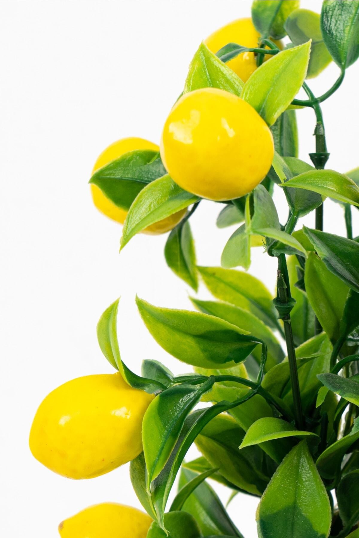 Beyaz Plastik Saksıda Bambu Gövdeli Yapay Limon Ağacı 25 Cm