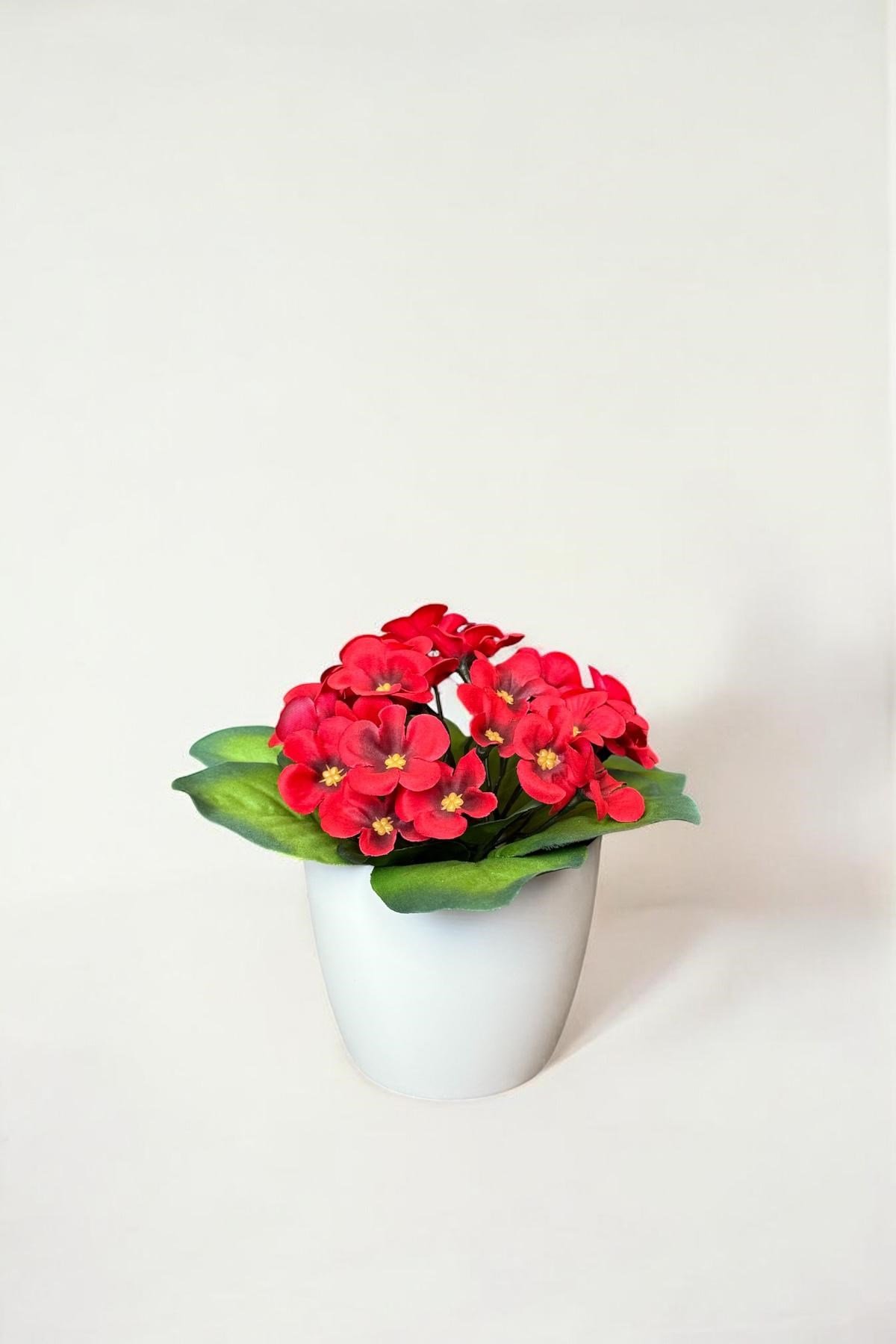 BEYAZ RENKLİ SAKSIDA CANLI RENKLİ GERÇEK DOKULU YAPAY MENEKŞE